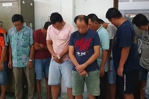 Sát phạt bằng cách đá gà trực tuyến qua… màn hình điện thoại