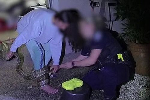 Có lòng tốt cứu con vật mắc kẹt dưới gầm xe ô tô, người phụ nữ không ngờ 'làm ơn mắc oán' phải cầu cứu cảnh sát