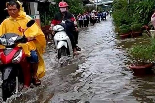 Kiên Giang: Hơn 6.300 căn nhà, 115 điểm trường bị ngập