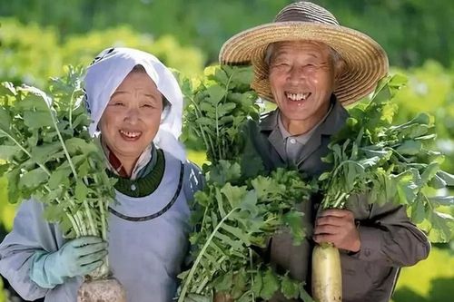 Bí quyết sống 100 tuổi của người dân ngôi làng trường thọ ở Nhật