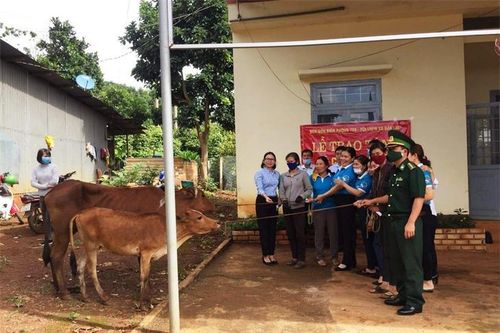Đồng hành giúp phụ nữ Đắk Lao thoát nghèo