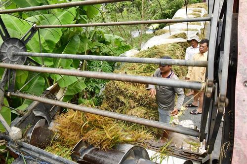 Mưa tiếp diễn trên vùng ngập huyện Trần Văn Thời (Cà Mau)