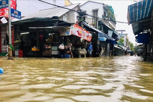 Chính phủ Nhật Bản hỗ trợ Thừa Thiên-Huế 50 máy lọc nước và 250 tấm trải nhựa