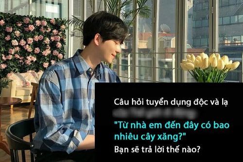 Nhà tuyển dụng phỏng vấn: 'Từ nhà em đến công ty có bao nhiêu cây xăng?', nam sinh được nhận ngay với câu trả lời xuất sắc