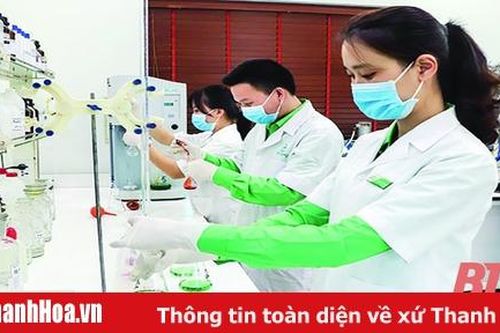 Dấu ấn 5 năm thực hiện Nghị quyết Đại hội Đảng bộ tỉnh lần thứ XVIII: Bài 11- Động lực then chốt trong tăng trưởng và phát triển kinh tế