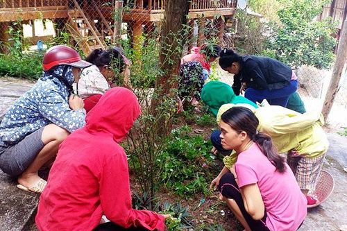 Nậm Pồ hướng về Ngày hội Ðại đoàn kết toàn dân tộc