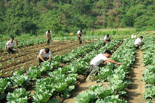 Ðảm bảo hậu cần cho bộ đội