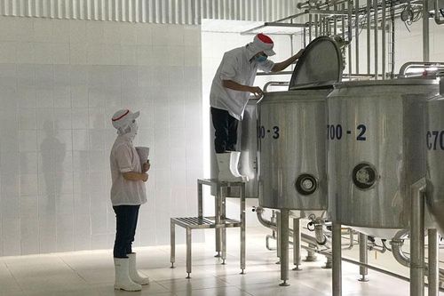 An Vạn Thịnh và chuyện xuất khẩu rau, củ, quả Việt