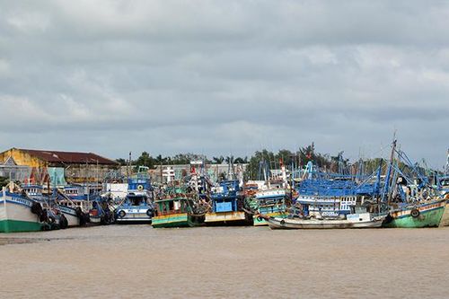 Nhiều giải pháp chống khai thác hải sản bất hợp pháp