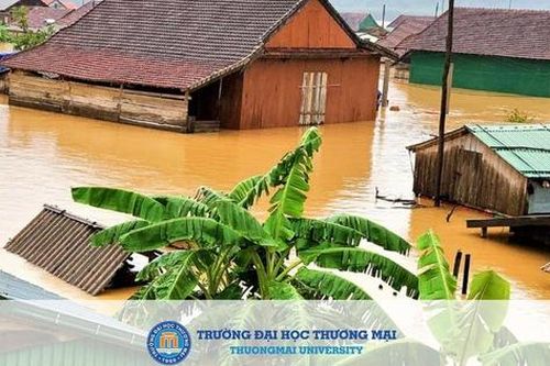 Nhiều trường đại học triển khai hỗ trợ sinh viên miền Trung trước lũ lụt lịch sử