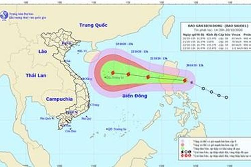 Theo dõi chặt chẽ diễn biến bão số 8 để chủ động ứng phó