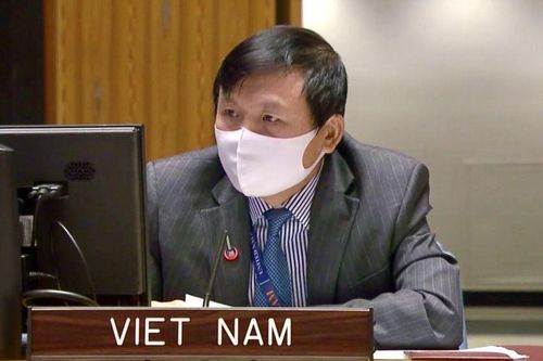 Hội đồng Bảo an họp định kỳ về tình hình tại Cộng hòa Trung Phi