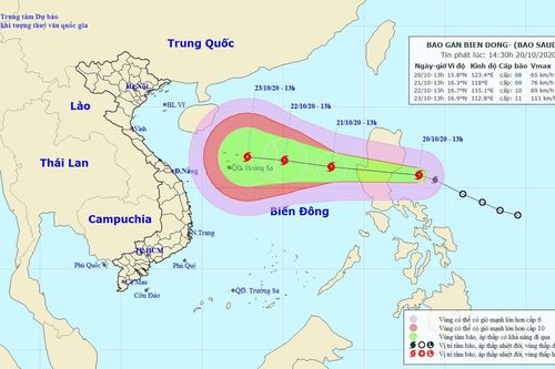 Tin bão gần Biển Đông: Cảnh báo mưa giông, gió giật mạnh cấp 11 do bão Saudel