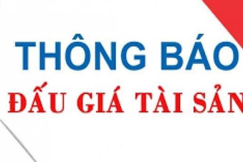 Thông báo đấu giá tài sản