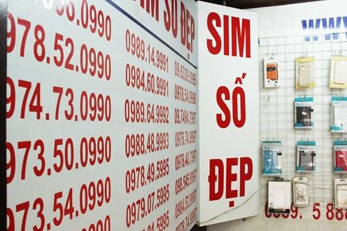 Số điện thoại đẹp, tên miền internet sẽ được đấu giá thế nào?