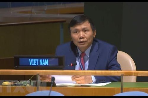 Việt Nam thúc giục các bên tại Trung Phi tôn trọng cam kết hòa bình