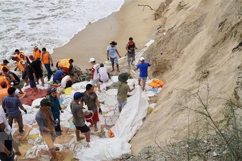 Hàng nghìn lượt người khắc phục sạt lở bờ biển ở Thừa Thiên-Huế