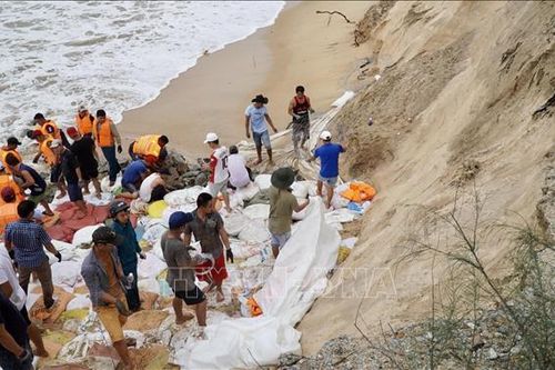Hàng nghìn lượt người tham gia khắc phục sạt lở bờ biển tại Thừa Thiên - Huế