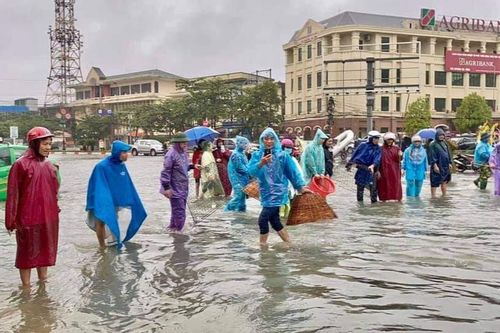 Người dân TP Hà Tĩnh đổ xô ra đường bắt cá