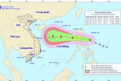 Khuya nay bão Saudel đi vào Biển Đông, cảnh báo những thông tin giả mạo về bão số 8