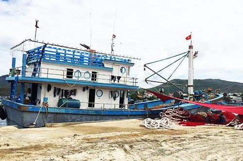 Cho vay theo Nghị định 67: Dư nợ giảm nhẹ, nợ xấu vụt tăng
