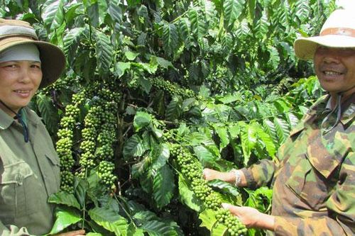 Khi nông dân được chuyển giao công nghệ mới