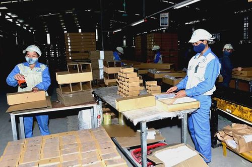 Yên Sơn thu hút đầu tư vào lĩnh vực có tiềm năng, lợi thế
