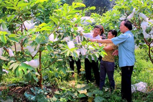 Hướng tới chuẩn hóa đội ngũ cán bộ cơ sở