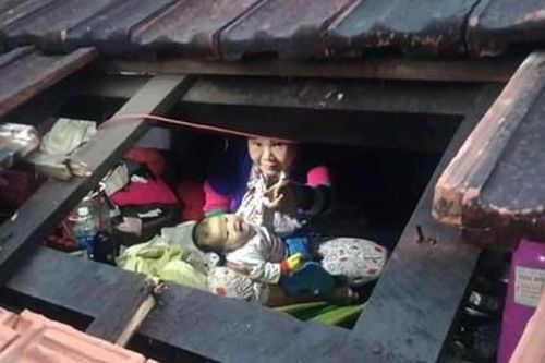 Những câu chuyện, hình ảnh nhói lòng trong cơn đại hồng thủy