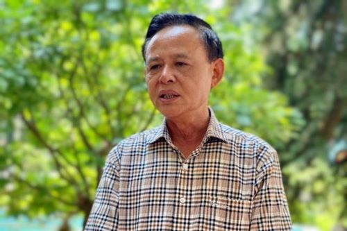 Lâm nghiệp Việt Nam: Phát triển rừng sẽ thu 'quả ngọt'