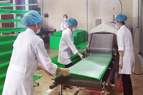 Mở rộng cơ hội phát triển kinh tế tập thể, hợp tác xã