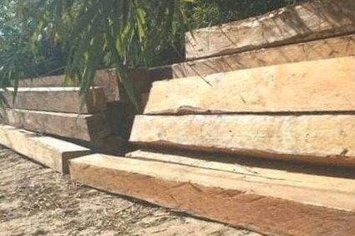Cho thôi việc một giám đốc và 2 cán bộ không hoàn thành nhiệm vụ bảo vệ rừng