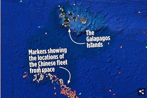 Hàng trăm tàu cá Trung Quốc 'quần thảo' vùng biển quanh quần đảo Galapagos