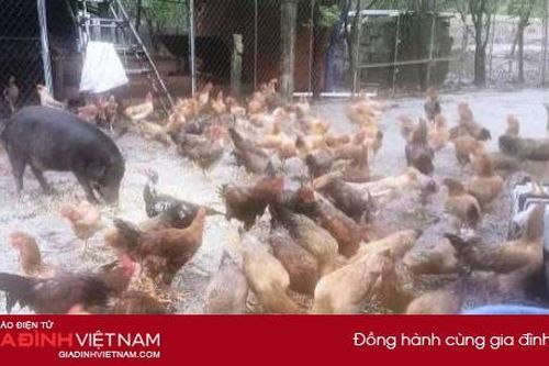 Người dân miền Trung nấu cơm tương trợ các đoàn thiện nguyện, thay lời cám ơn