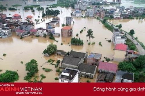 Bài học chống lũ lụt nghiêm trọng dựa trên tự nhiên của Trung Quốc