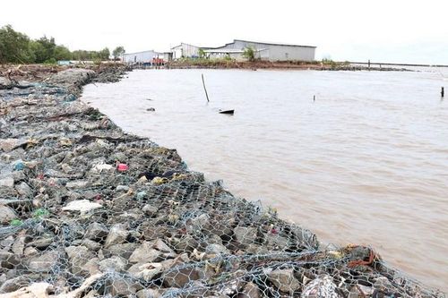 Khắc phục khẩn cấp tình huống sạt lở đê biển Tây tỉnh Cà Mau