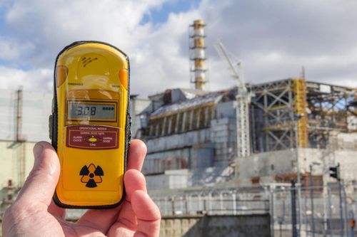 Lượng phóng xạ tại lò phản ứng hạt nhân Chernobyl gây hại cho loài ong