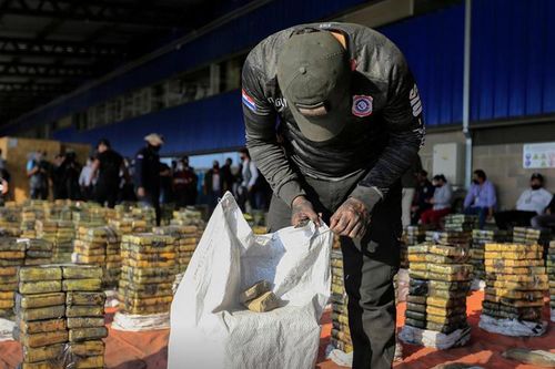 Paraguay bắt giữ số cocaine trị giá 500 triệu USD giấu kèm than đá