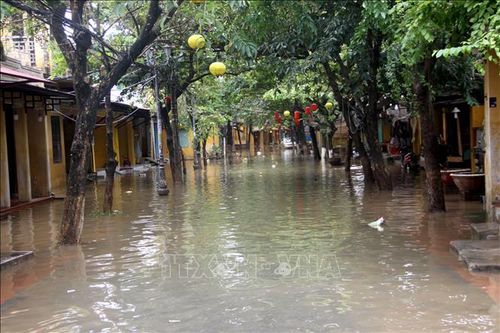 Quảng Nam tập trung triển khai công tác ứng phó với bão số 8