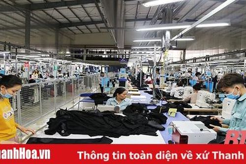 Phát triển sản xuất, kinh doanh những tháng cuối năm ở huyện Thiệu Hóa