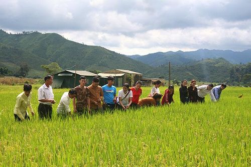 Sản xuất nông nghiệp hữu cơ còn nhiều khó khăn