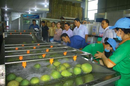Nghiệm thu Đề án Khuyến công Quốc gia