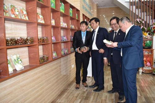 Phát triển hợp tác xã đa dạng loại hình hoạt động, phù hợp với điều kiện của từng địa phương