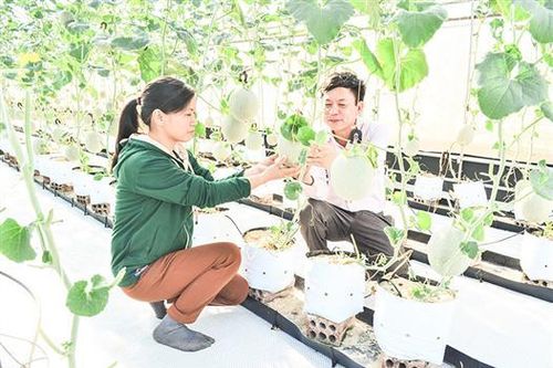 Định hình một nền sản xuất nông nghiệp mới