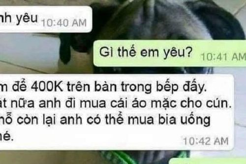 Vợ cạn lời khi chồng 'ăn chặn' tiền của... cún