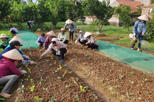 Mở rộng cơ hội việc làm cho lao động nông thôn