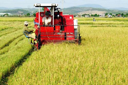 Giải ngân 69 tỷ đồng cho vay đầu tư cơ giới hóa nông nghiệp