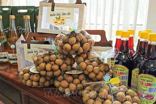 Trà mãng cầu, khô cá tra Cần Thơ được xếp hạng sản phẩm OCOP 4 sao
