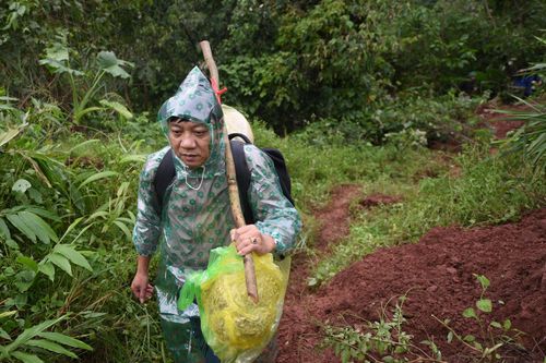 Người dân băng rừng, vượt qua đoạn quốc lộ 12A nứt gãy