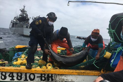 Cuộc đuổi bắt giữa tuần duyên Peru và đội tàu cá Trung Quốc khổng lồ